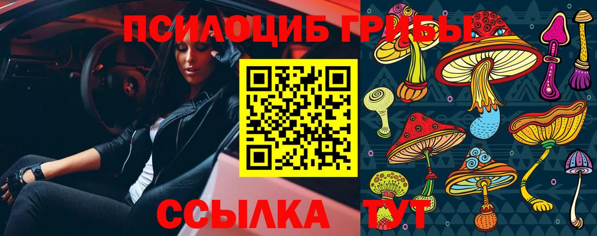 Галлюциногенные грибы Psilocybe  Вход с VPN  где найти наркотики  Нарткала 